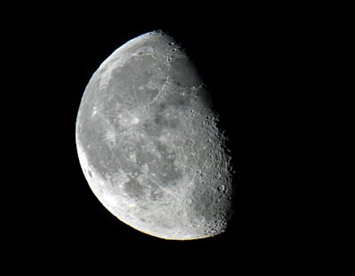 Sigma 150-500mm (Nikon F)
