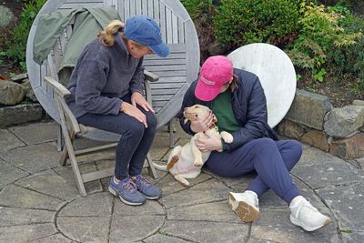 Photos of the dogs