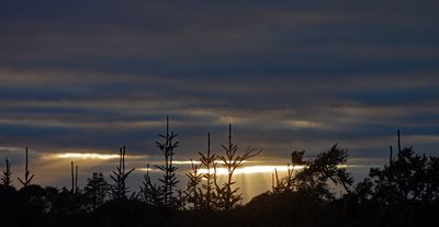 c100_104.jpg