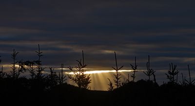 c100_105.jpg