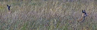 k3_70_300_201.jpg