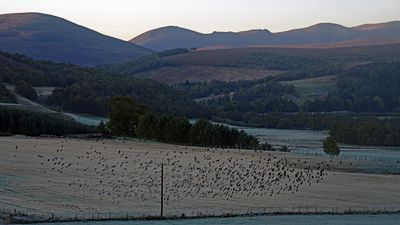 k3_s70_300_303.jpg