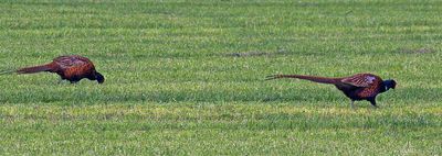 k3_s70_300_305.jpg