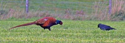 k3_s70_300_306.jpg