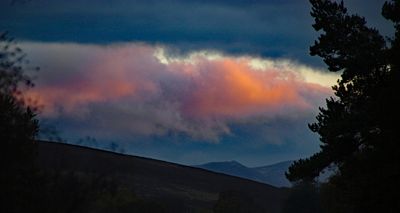 Tamron 18-250mm F3.5-6.3 (Pentax AF)