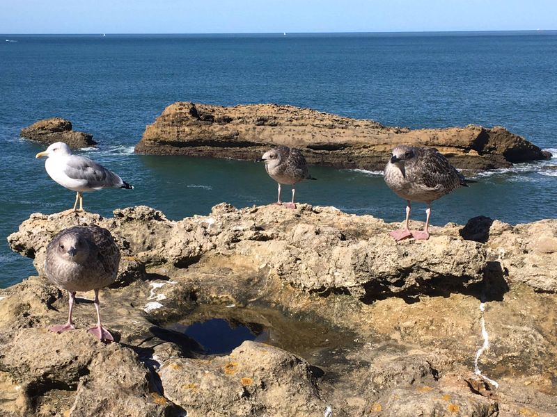 Biarritz