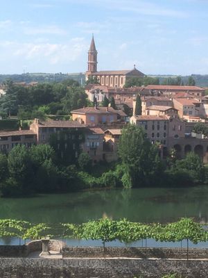Albi