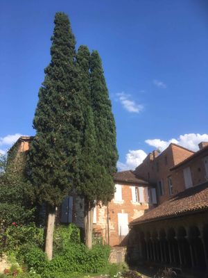 Albi