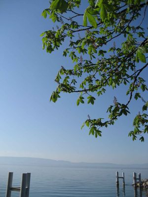 Le printemps dans toute sa beauté
