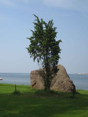 Muse estonien en plein air