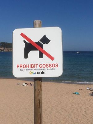 Quelle vie de chien !