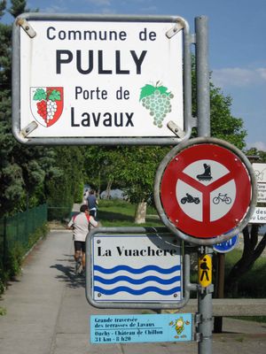 Pully