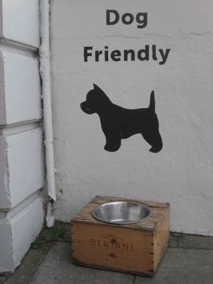 Quelle vie de chien !