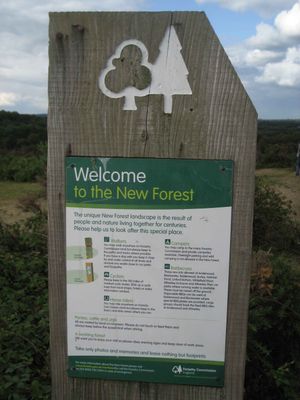 Parc national New Forest prs de Lymington