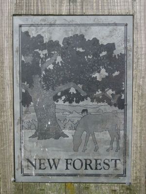 New Forest (Angleterre)