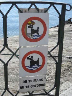 Pauvres toutous, ils doivent se baigner en hiver quand l'eau est froide !