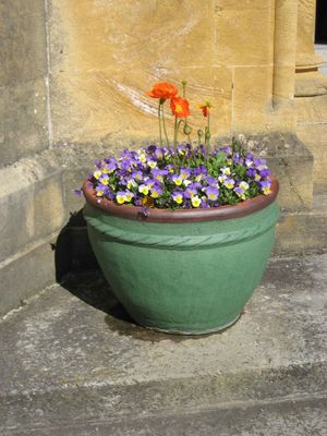 Un accueil fleuri  la collgiale