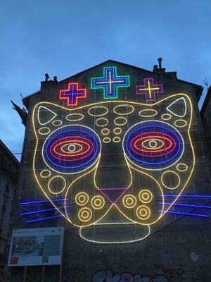 Un flin pour tenir compagnie au serpent