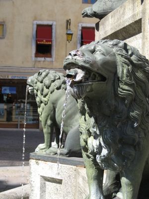 Une photo qui a du mordant