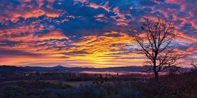 jan_feb_2024