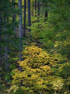 sept_oct_2024