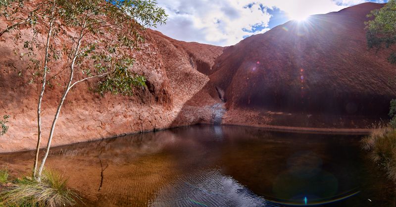 Uluru Waterhole