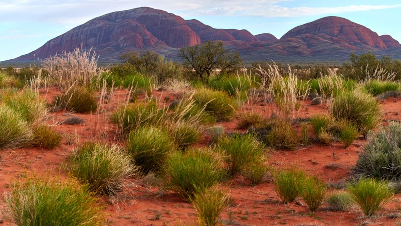 Kata Tjuta