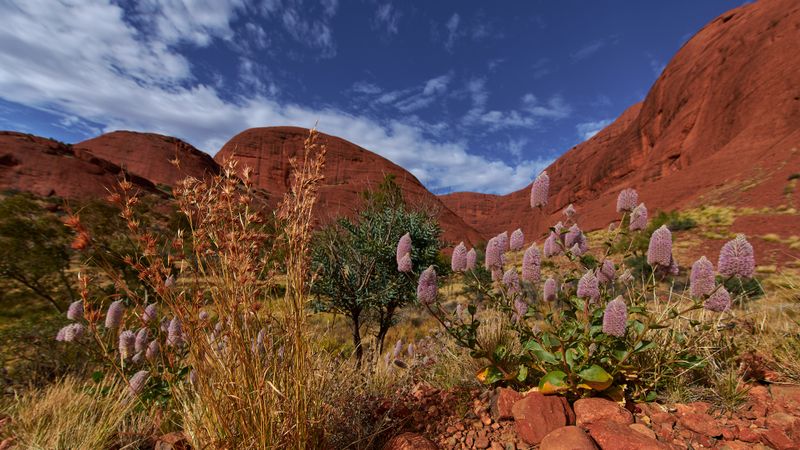 Kata Tjuta, Valley of the Winds walk