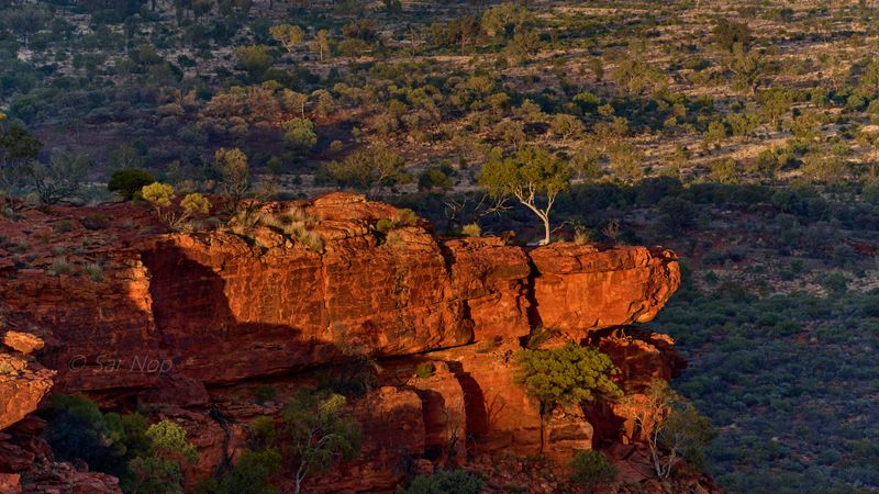 Sunrise at the top of the Kings Canyon