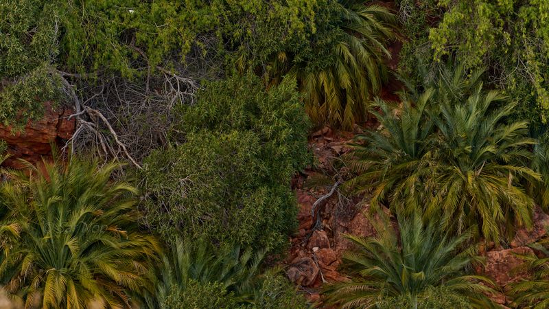 Kings Canyon Oasis