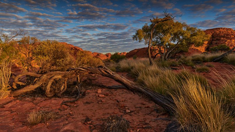 Sunrise at the top of the Kings Canyon