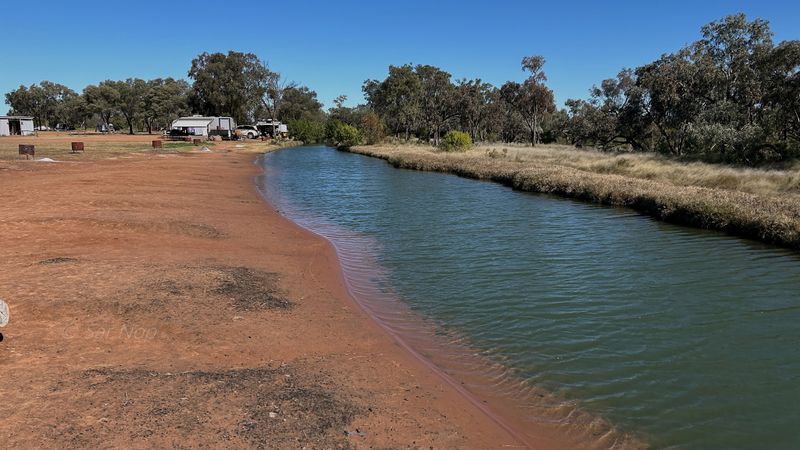 Charlotte Plains Station artesian hot springs, Cunnamulla, QLD