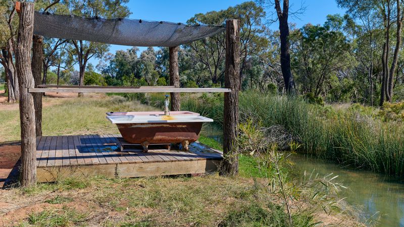 Charlotte Plains Station artesian hot springs, Cunnamulla, QLD