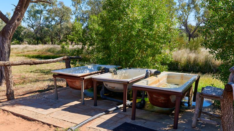 Charlotte Plains Station artesian hot springs, Cunnamulla, QLD