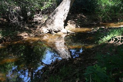 IMG_07840.jpg