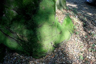 IMG_0122.jpg