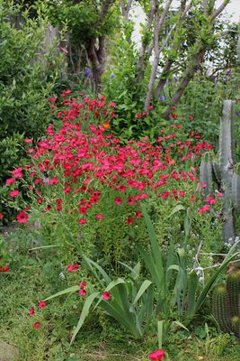 IMG_8363_xi.jpg