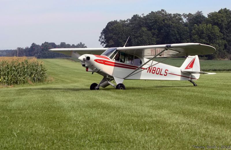 Piper Super Cub