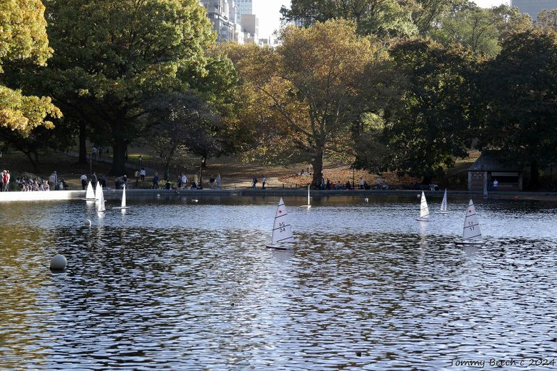 Central Park Model Yacht Club, NYC