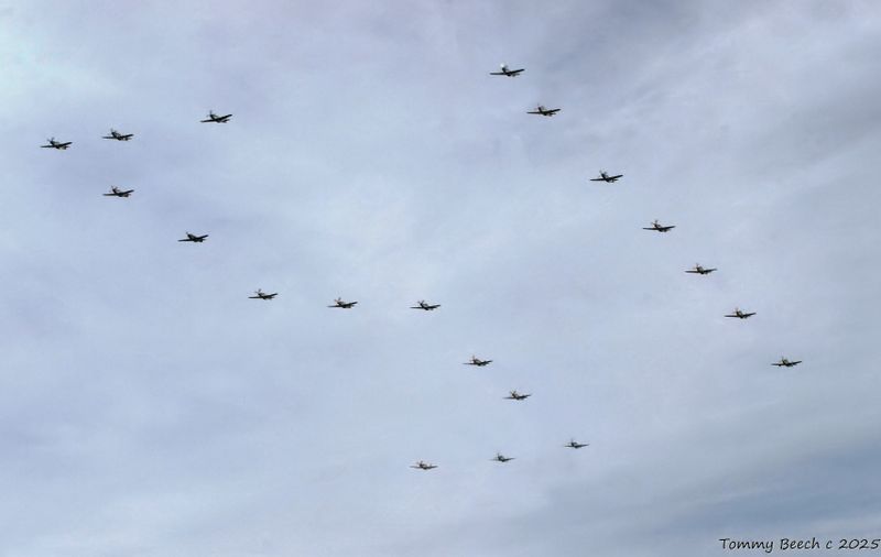 Flight of twenty P-51s in formation configuration of 51