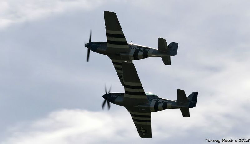 P-51D &  P-51B