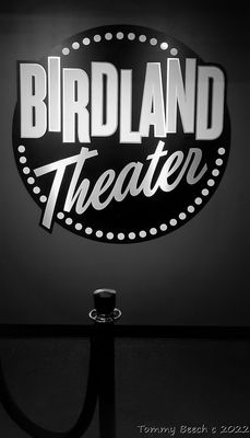 Birdland Jazz Club ~ 315 West 44th St New York, NY 