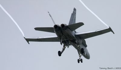 McDonnell Douglas F/A-18 Hornet