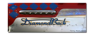 P-51 ~ Diamond Back ~