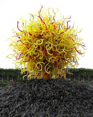 Chihuly Garden and Glass ~ Seattle, WA 