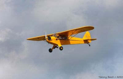 1946 Piper J3C-65 Cub
