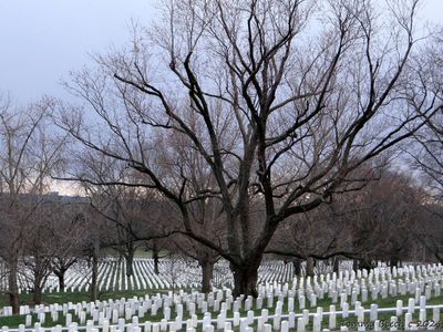 Memorial Day 2024