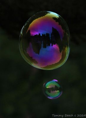 Trees in a soap bubble