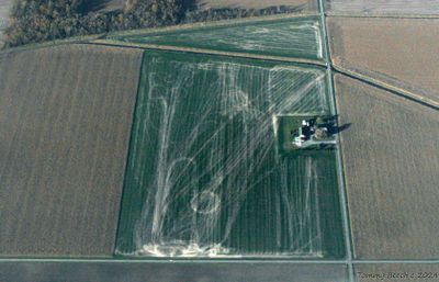 Farmland Graffiti or drunken farmer