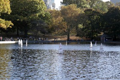 Central Park Model Yacht Club, NYC